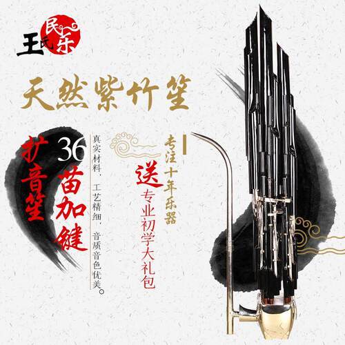 王氏专业专业演奏笙紫竹电镀黑管36簧笙乐器扩音笙方斗笙36簧笙