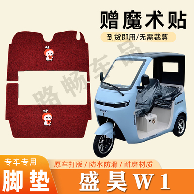 适用于盛昊W1脚垫电动三轮车脚垫防滑丝圈耐磨脚踏板踩垫