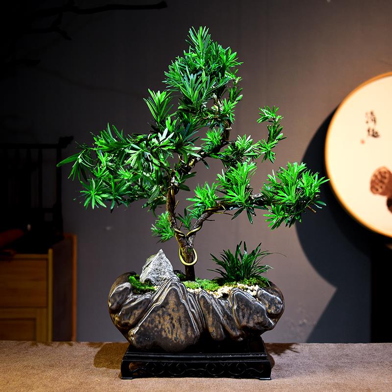 罗汉松盆景室内老桩造型树迎客松中式盆栽绿植茶室办公好养送礼