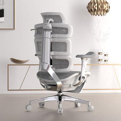 Ergomax Evolution2+ 高迈思电脑椅人体工学椅家用电竞椅办公椅子