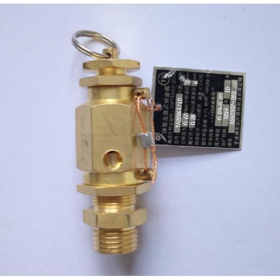 山东新华蒸发器安全阀医疗脉动真空灭菌器台式柜灭菌柜配件20 25