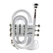 降B漆金手掌号降B调手掌号降B调袖 珍小号微型小号手掌号小号乐器