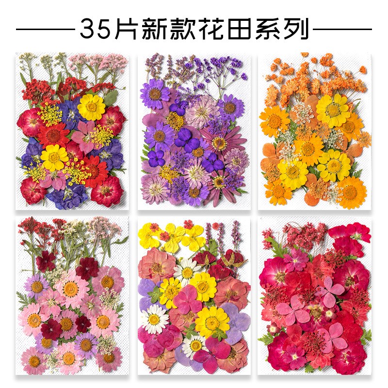 树叶植物标本幼儿园手工贴画DIY干花压花贴脸装饰花妆写真押花图片