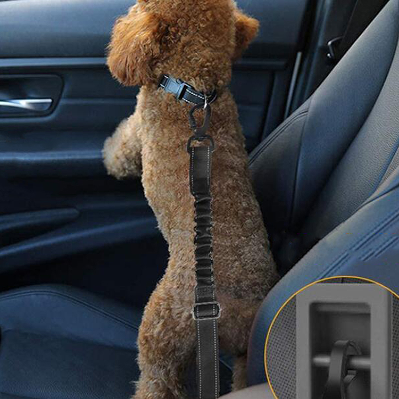 Dog Seat Belt Adjustable Pet Dog Cat Car Safety Belt