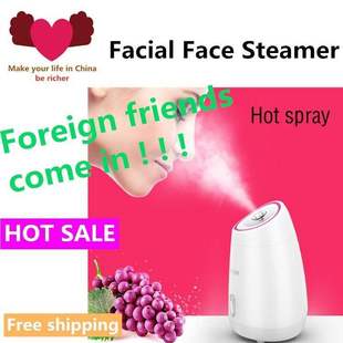 fruit facial face steamer beauty thermal spray face machine