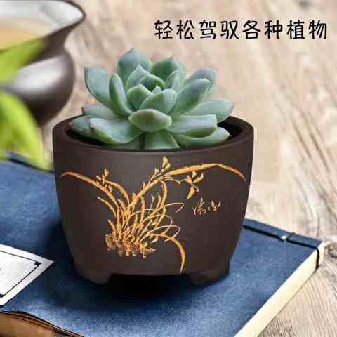 兴紫砂精品小型古典花盆圆形透气盆兰花多花卉绿植专用