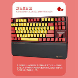 黑峡谷(Hyeku)X3有线/无线2.4G双模机械键盘87键PBT键帽凯华BOX