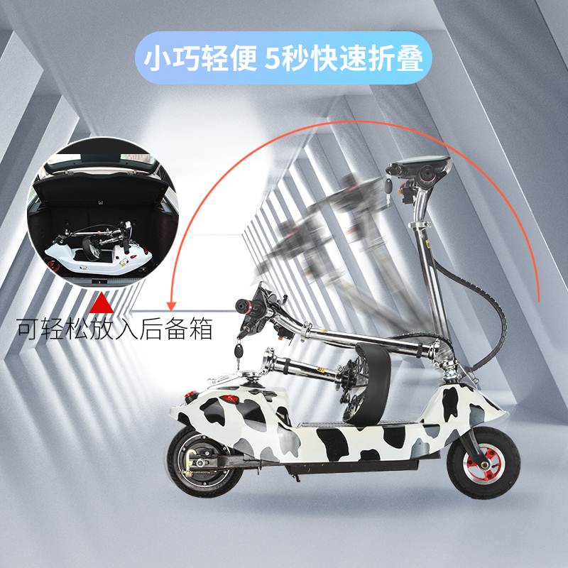 电动车小型车女士折叠代步车迷你滑板车成人便携锂电小海豚电瓶车