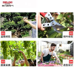 。德力西修枝剪子果枝园艺园林剪刀强力省力修剪摘果花树枝粗枝剪