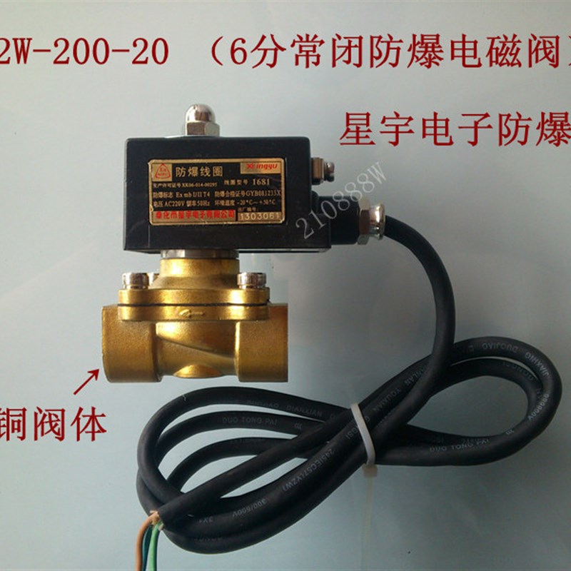 议价6分防爆电磁阀 2W200-20E DN-20 瓦斯专用瓦斯阀 气阀 220V D