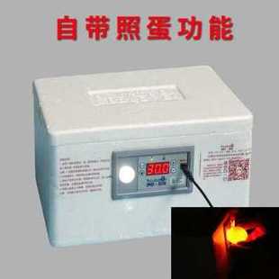 极速厂促新品种蛋孵化机孵化器家用n型鸡鸭鹅受精蛋小型全自动控