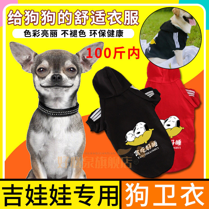 极速吉娃娃专用加厚保暖防掉毛狗狗衣服两脚连帽卫衣秋冬季小型犬