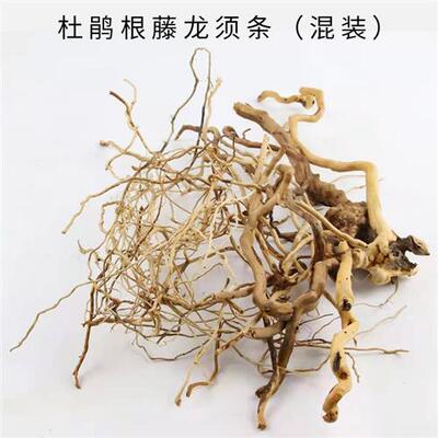 极速造景藤条龙须根杜鹃根枝条水草沉木须根细枝南美缸树枝微景观