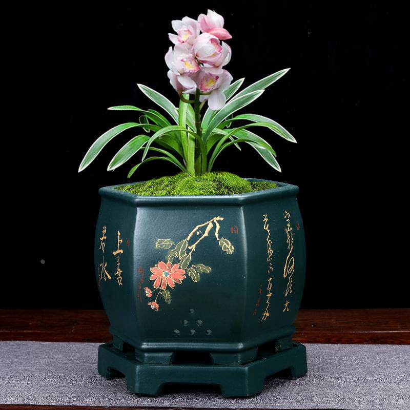 紫砂兰花盆高档手工六方陶瓷君子兰盆景盆室内桌面兰草盆带底座