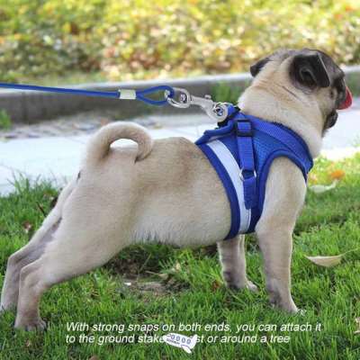 极速Adjustable Long Steel Wire Dog Leash Outdoor Camping Pic
