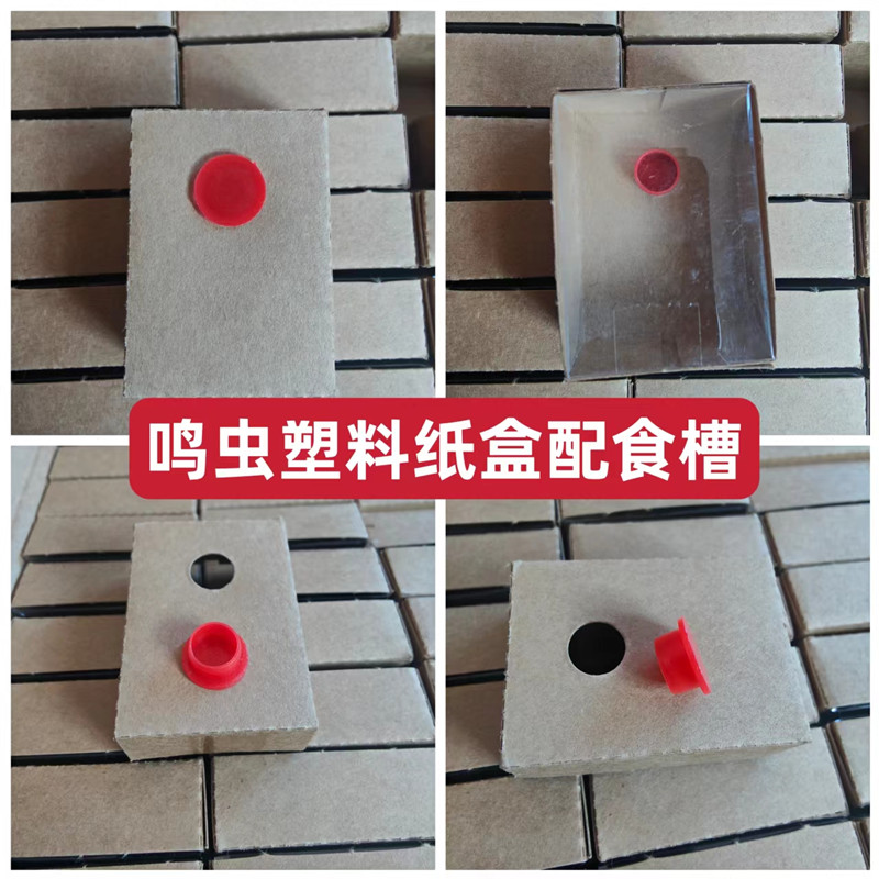 蟋蟀蛐蛐白虫黑虫油葫芦马蛉竹蛉塑料玻璃纸盒周转盒快递蟋蟀用具