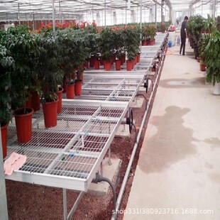 移动苗床架子蔬菜花卉种植大棚温室热镀锌固定花圃高强度镀锌