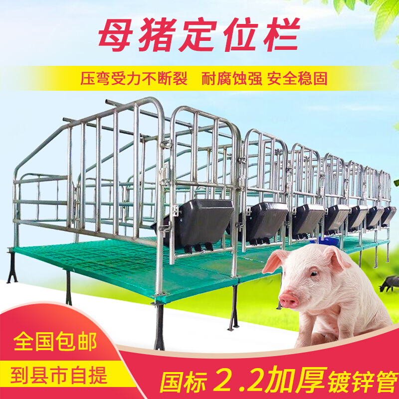 母猪定位栏限位栏加厚10猪位2.2国标母猪产床仔猪保育床养猪设备