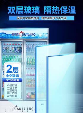 式柜立L双G冷4-900M2/W风272冷无霜保鲜冰柜门饮料冷藏展示柜