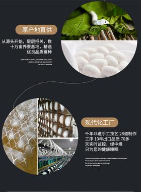 0丝被桑蚕被丝春秋全棉加厚1斤冬被手工被夏凉子ZG-65844母被