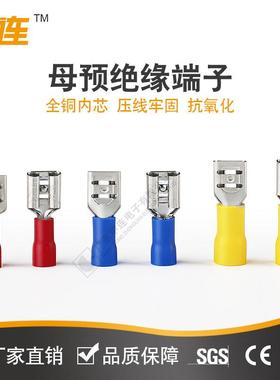 插ZHQ簧压端子55-冷50母预绝缘62.3插簧冷压接线端.子一包500个