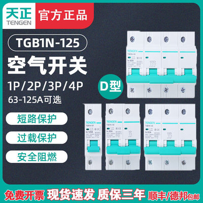 天正电气 TGB1N-125 D型空气开关 电动机动力型断路器1P 2P 3P 4P