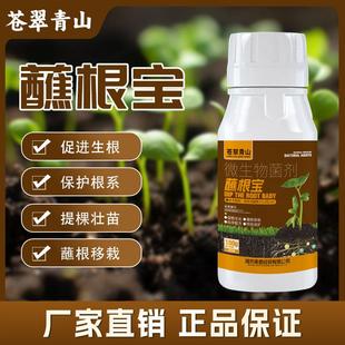 苍翠青山蘸根宝瓜果蔬菜花卉苗木蘸根生根壮苗提高移栽成活率肥料