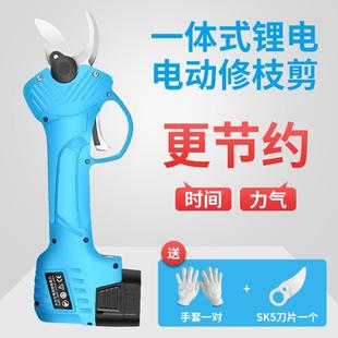 园林工具粗枝修枝剪刀 进口DAREX电动树枝剪省力果树剪锂电充电式