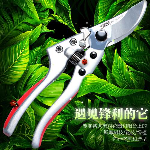 精锐锋修剪树枝剪刀园林园艺工具多功能家用粗枝果树省力修花枝剪