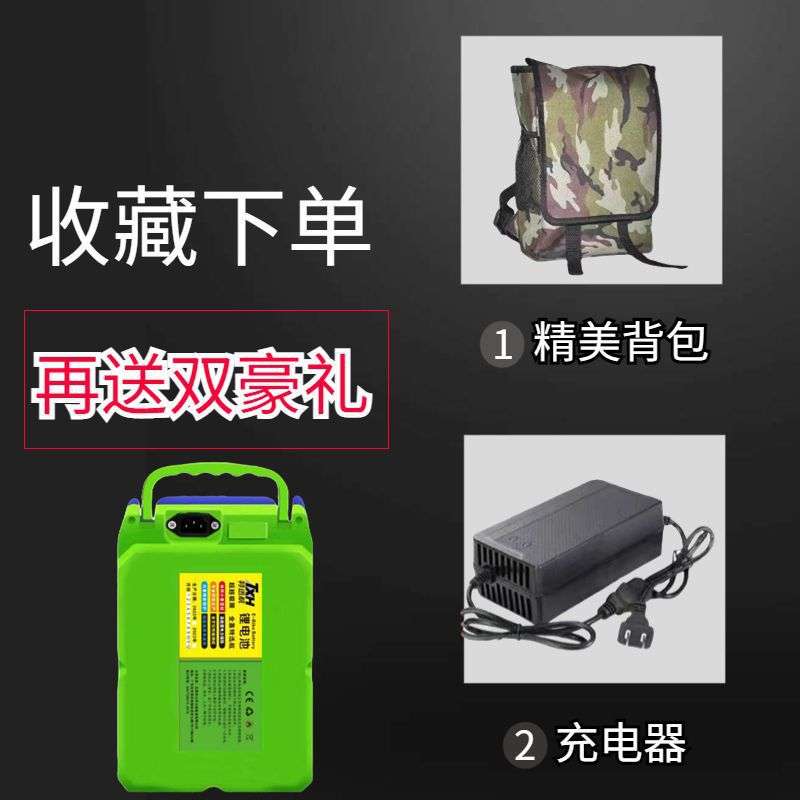24v锂电池割草机绿篱机电锯抽水泵园林通用大容量背负式锂电池