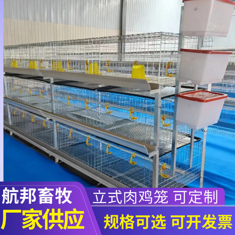 肉鸡笼三层立体肉鸡笼子家用肉鸡笼育雏笼冷镀锌层叠式肉鸡笼供应