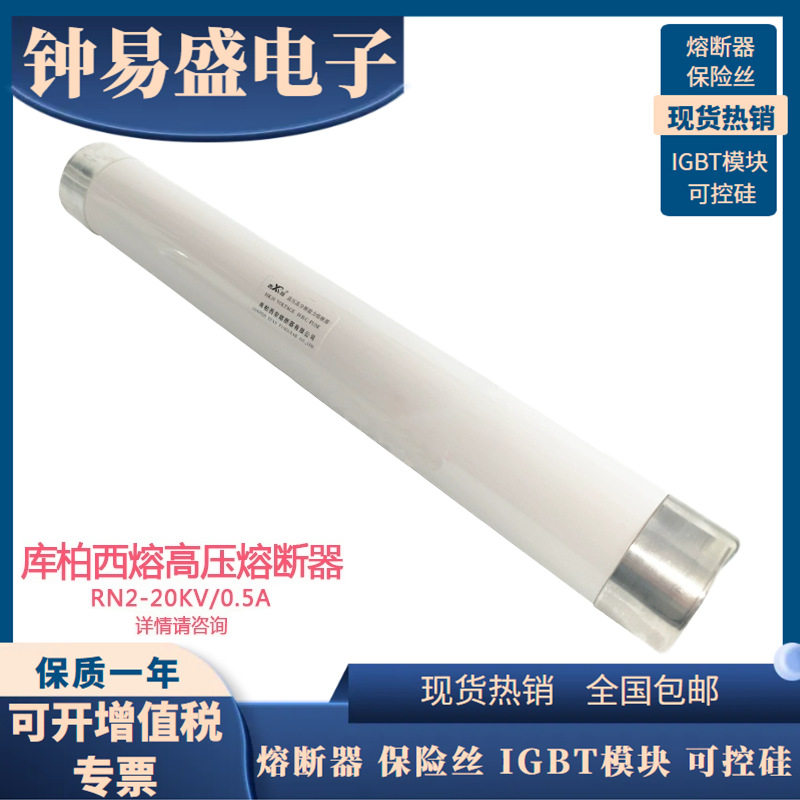 库柏西熔熔断器 RN2-12KV/20KV/24KV/35KV-0.5A/1A/2A 保险管