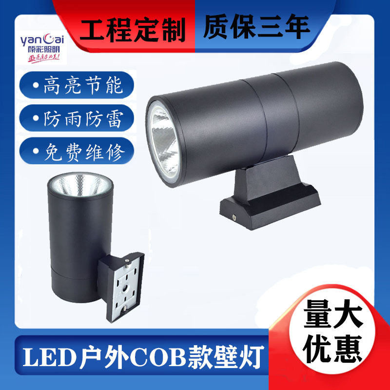 LEDCOB双头壁灯户外亮化投射
