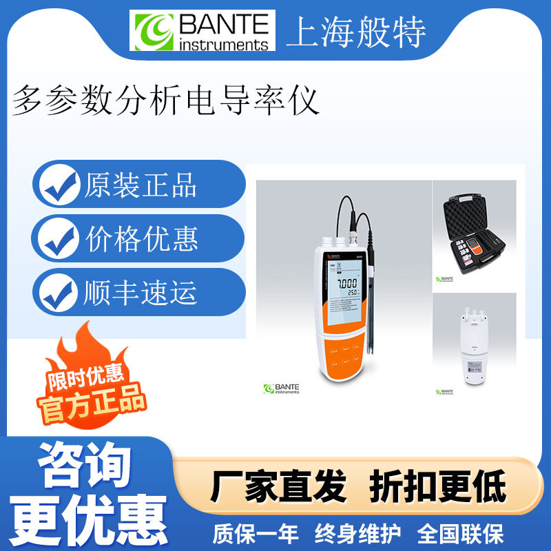 上海般特Bante900P-CN多参数水质分析仪电导率仪溶氧仪TDS盐度计