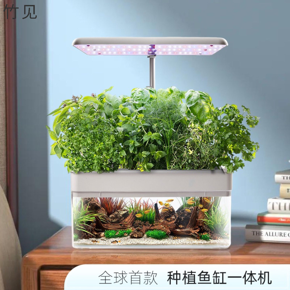 种菜机鱼缸室内无土栽培蔬菜设备家庭水培系统鱼菜共生种植箱