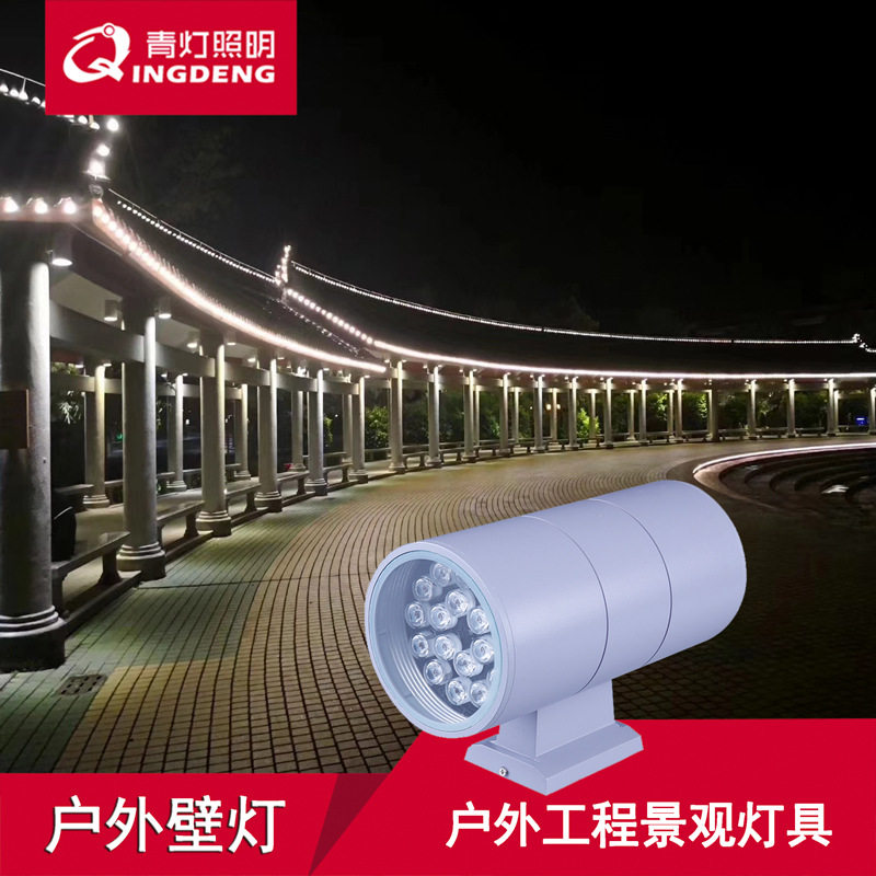户外防水LED壁灯上下照亮化工程
