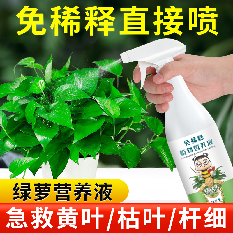 速发免稀释绿萝营养液肥用肥植物盆栽家料吊兰绿罗土水培养花通用
