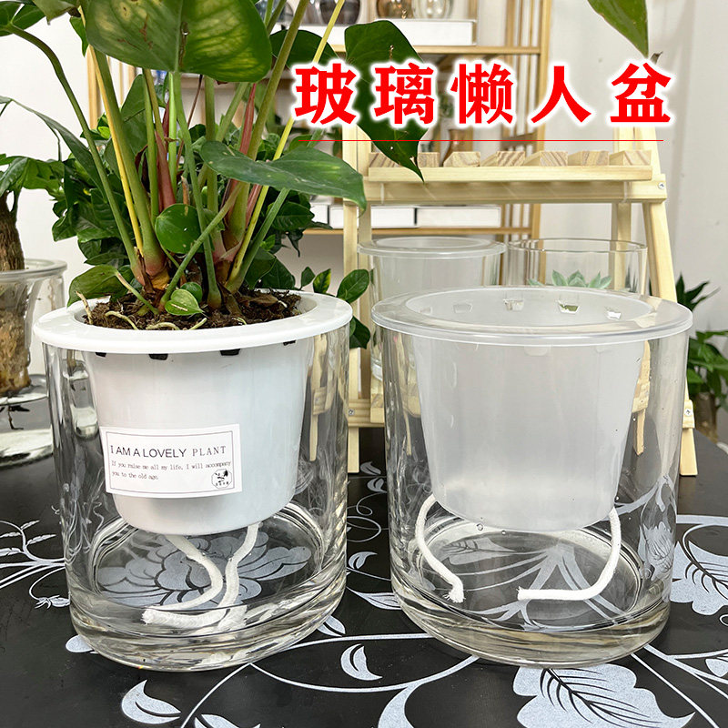 现货速发水培花盆玻璃自吸水懒人花盆桌面小盆栽用发财树白掌绿萝