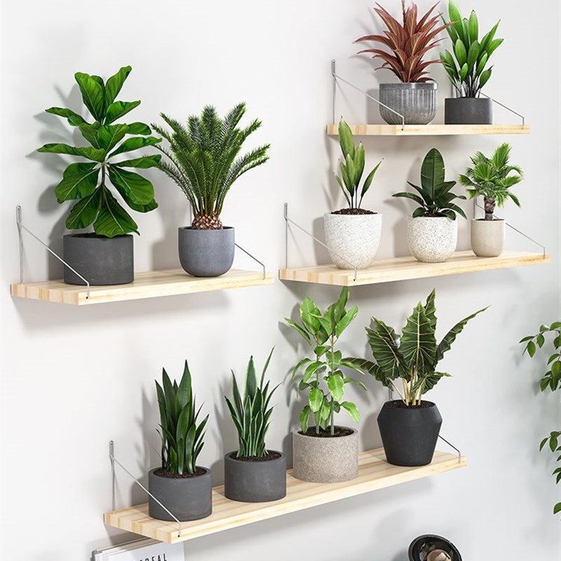 速发墙上花架壁挂花钉子台上墙植物摆放架挂墙架墙免打孔墙壁置物