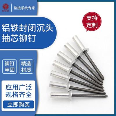 铝铁封闭型抽芯拉铆钉埋头3.2/4/4.8/5 GB12616防水钉密封式沉头