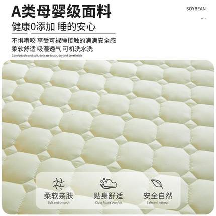 2025款宿舍YXA-1717学生水洗棉季床单件笠床垫床包套夹棉床新单夏