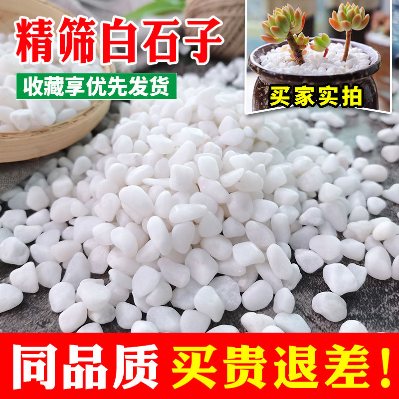 小白石子白色石头鹅卵石庭院花园铺路铺地花盆造景装饰铺面雨花石