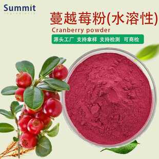 工厂现货水溶性蔓越莓粉可供第三方检测报告可商检蔓越莓汁粉
