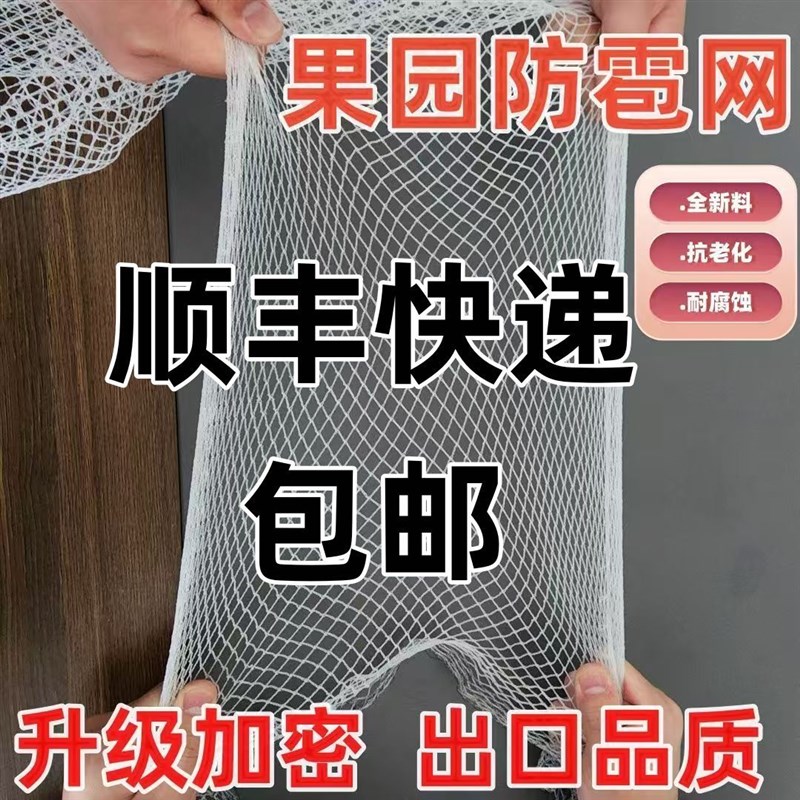 热销防雹网冰雹果园防鸟t网防鸟罩全罩葡萄网农用果树防冰雹网经