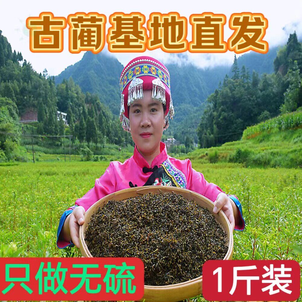 古蔺基地直发赶黄草叶旗舰店转氨酶养护益肝茶中药材溪黄草养生茶