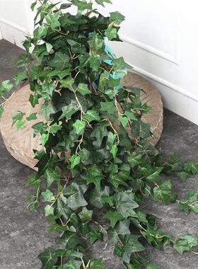 好货1.2米常春藤地瓜叶仿真藤条壁挂家居饰品番薯叶植物墙配材超