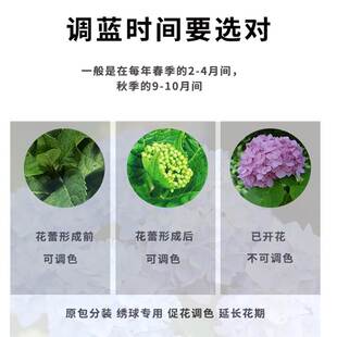 绣球调蓝剂硫酸铝缓释肥硫酸亚铁水溶肥溶液绣球花肥专用调蓝色剂