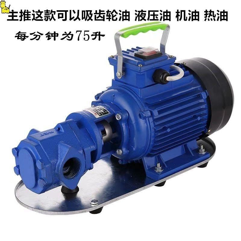 WCB-75齿轮电动抽油泵大流量自吸液压油机油食用油热油耐高温220V