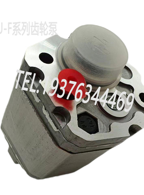 CBU-F110BL CBU-F1019 CBU-F1038 电动托盘搬运车液压油泵齿轮泵