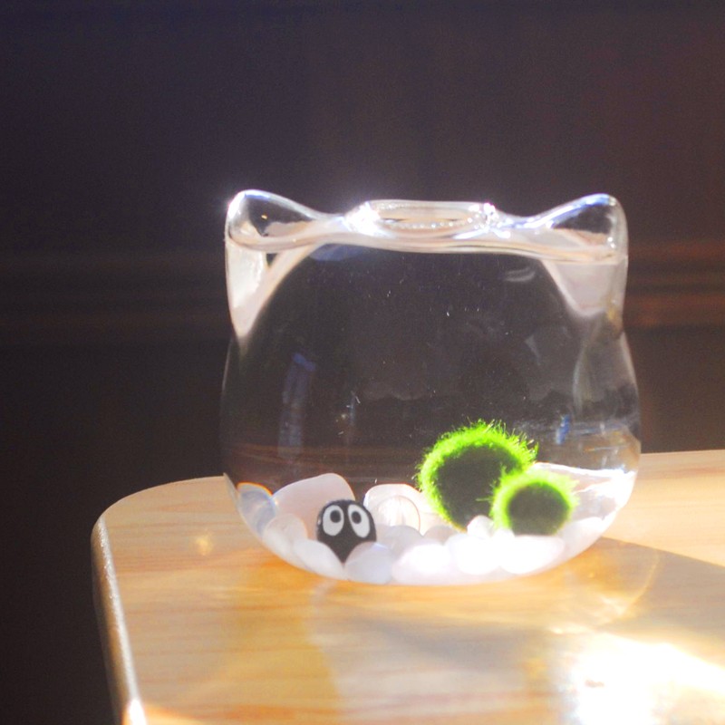 幸福marimo海藻球微景观创意新奇植物桌面小鱼缸生态瓶可爱猫猫头